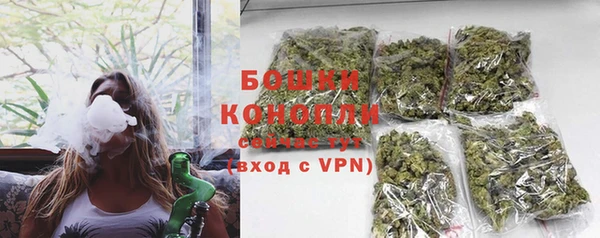 крисы Баксан