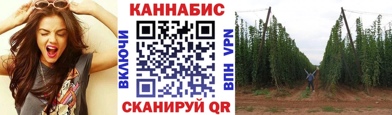Каннабис VHQ  Куртамыш 